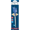 Bosch EXPERT Self Cut Speed fladbor 28x152 mm