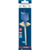 Bosch EXPERT Self Cut Speed fladbor 30x152 mm