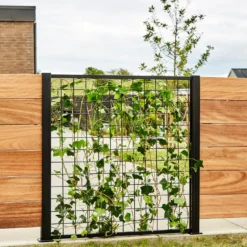 Elmholm espalier løst modul 125 cm