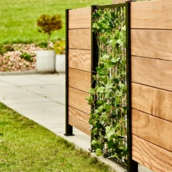 Elmholm espalier løst modul 125 cm