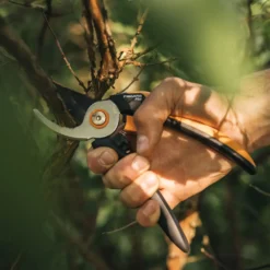 Fiskars beskærersaks solid stor ss P341