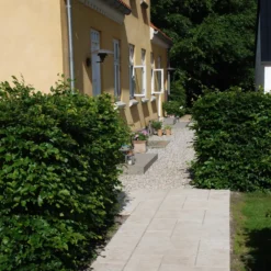 IBF Struktur lys sand 60x60x4 cm (type 5)