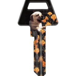 Jasa nøgleemne 6-stift hund