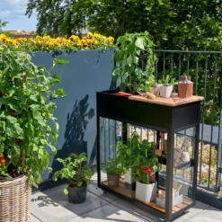 Juliana Urban Vertical minidrivhus sort med hærdet glas