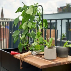 Juliana Urban Vertical minidrivhus sort med hærdet glas