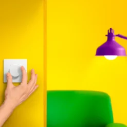 Philips Smart Wiz dial switch lysdæmper