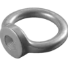 Roliba øjemøtrik varmforzinket 10 mm x Ø 25 mm