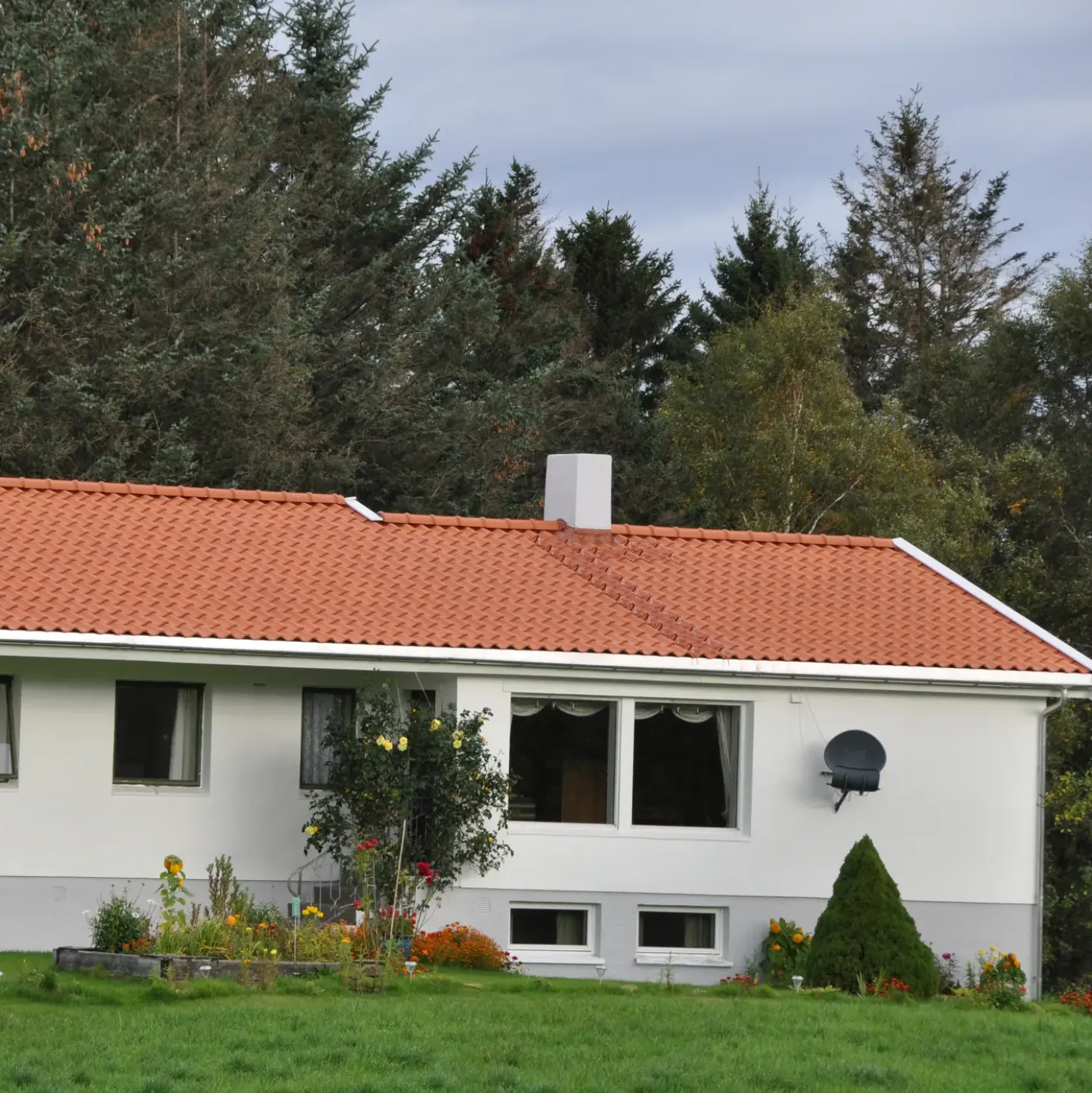 RT844 Laumans vingefalstagsten, naturrød