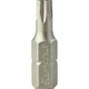 STACO bits 1/4"x25 mm TX 25 rustfri 2 stk