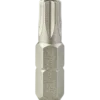 STACO bits 1/4"x25 mm TX 30 rustfri 2 stk
