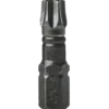 STACO Salgbits torsion impact TX40 6 stk