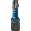 STACO Slagbits torsion impact TX25 20 stk blå